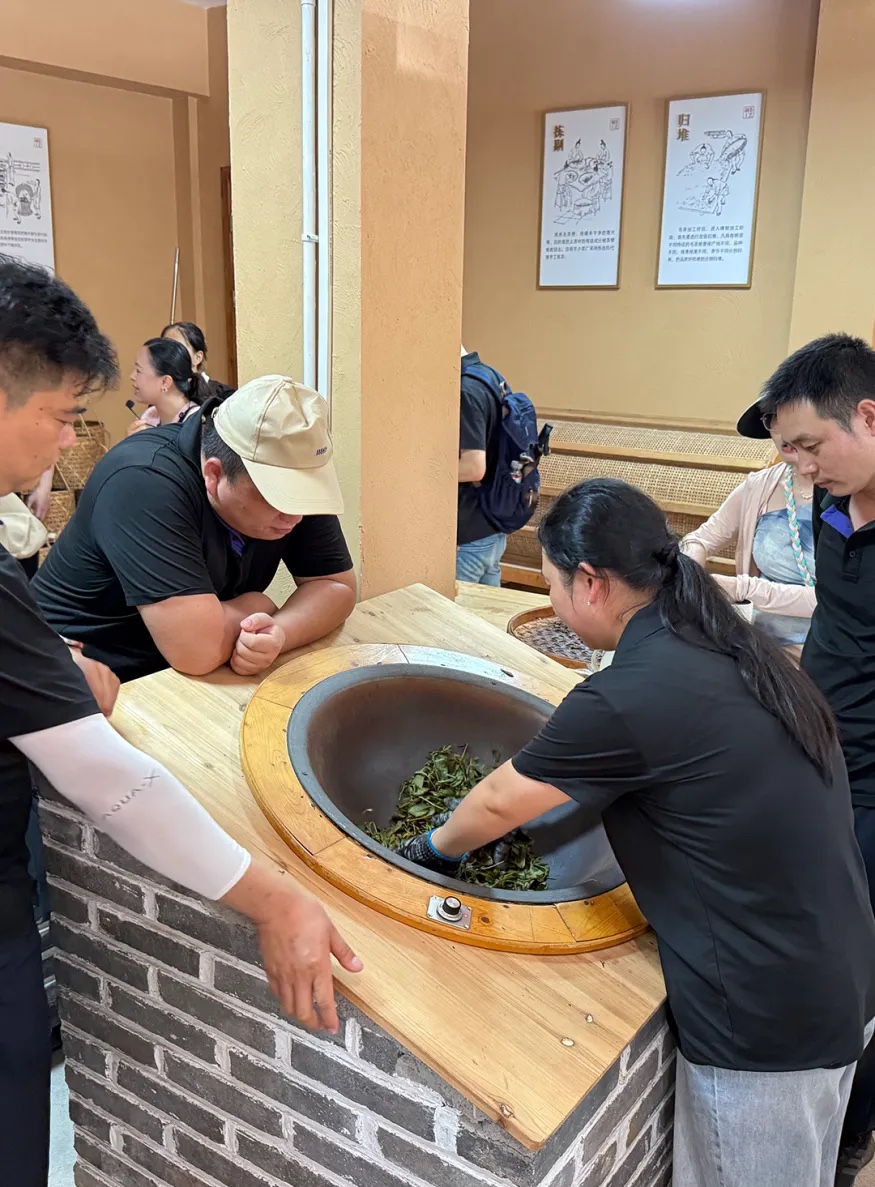Chuanhe colleagues taking part in a hands-on tea processing activity in Wuyishan